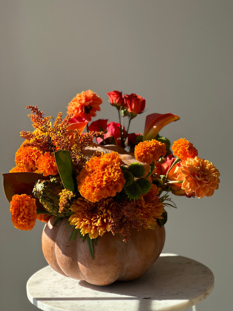 Falling for Pumpkins