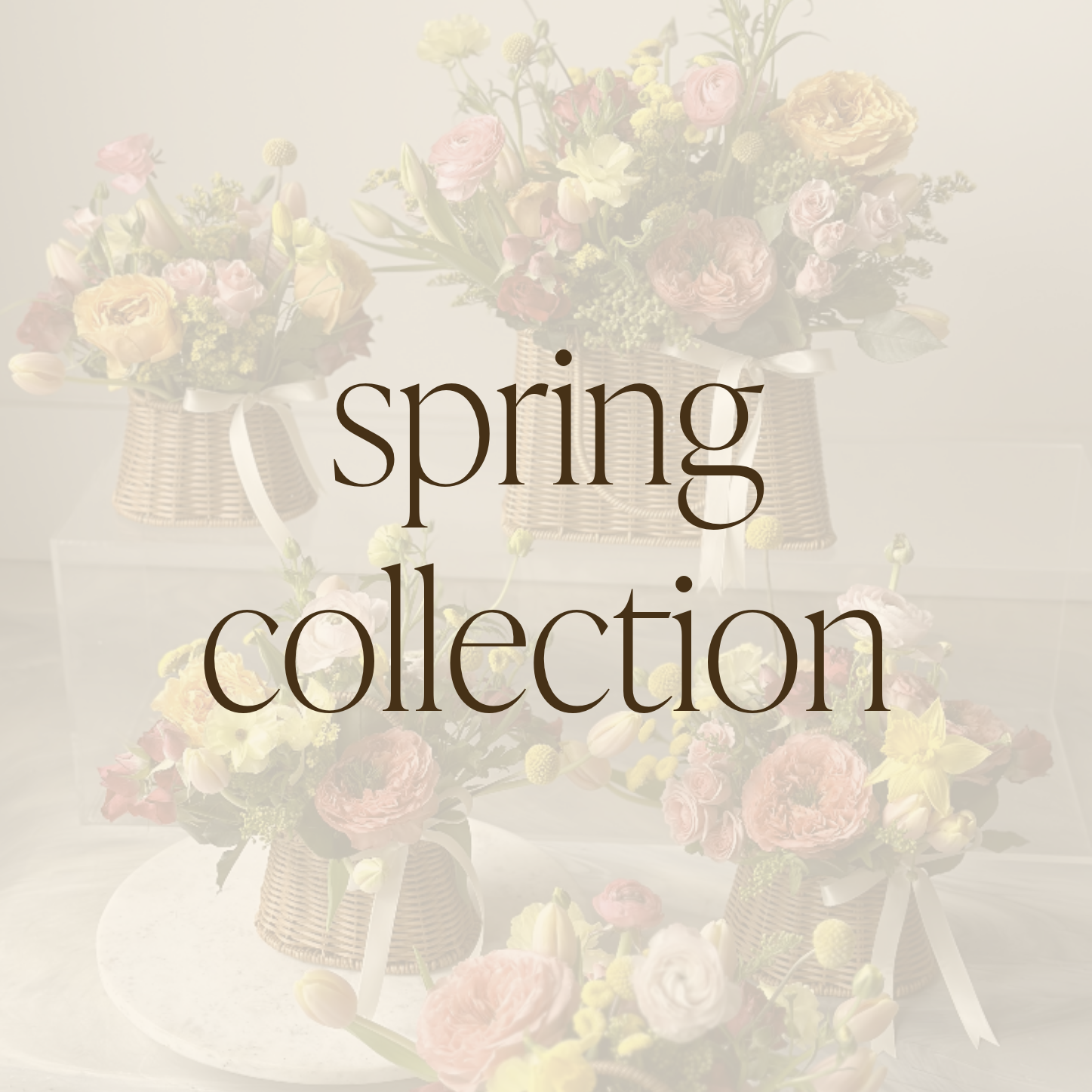 Spring Collection