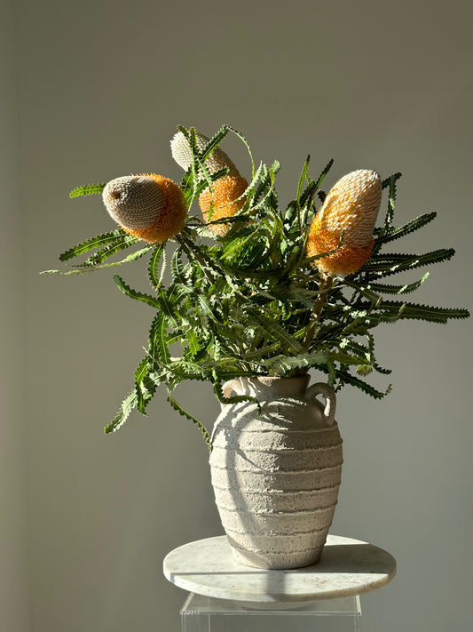 Banksia