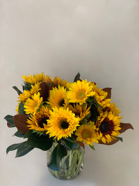 AUTUMN SUNSHINE